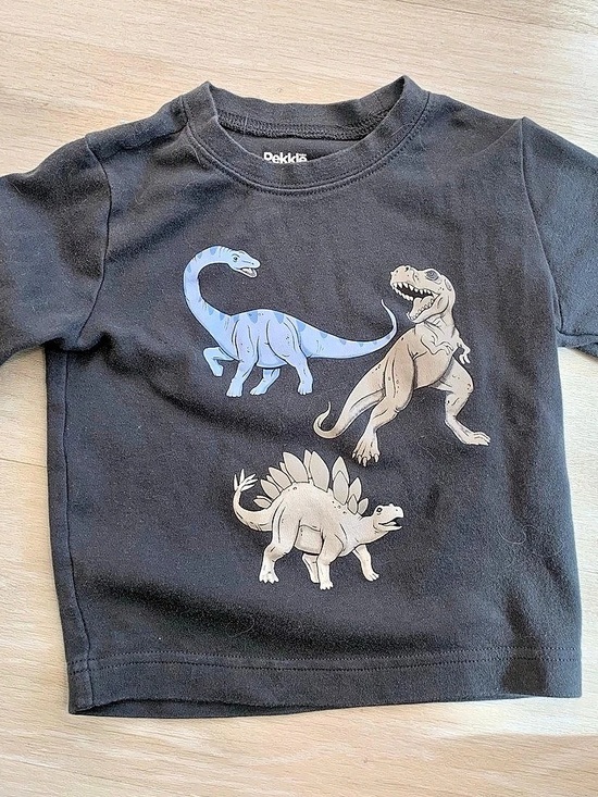 Pekkle Other - Dinosaur Long Sleeve Tee Size 2/3